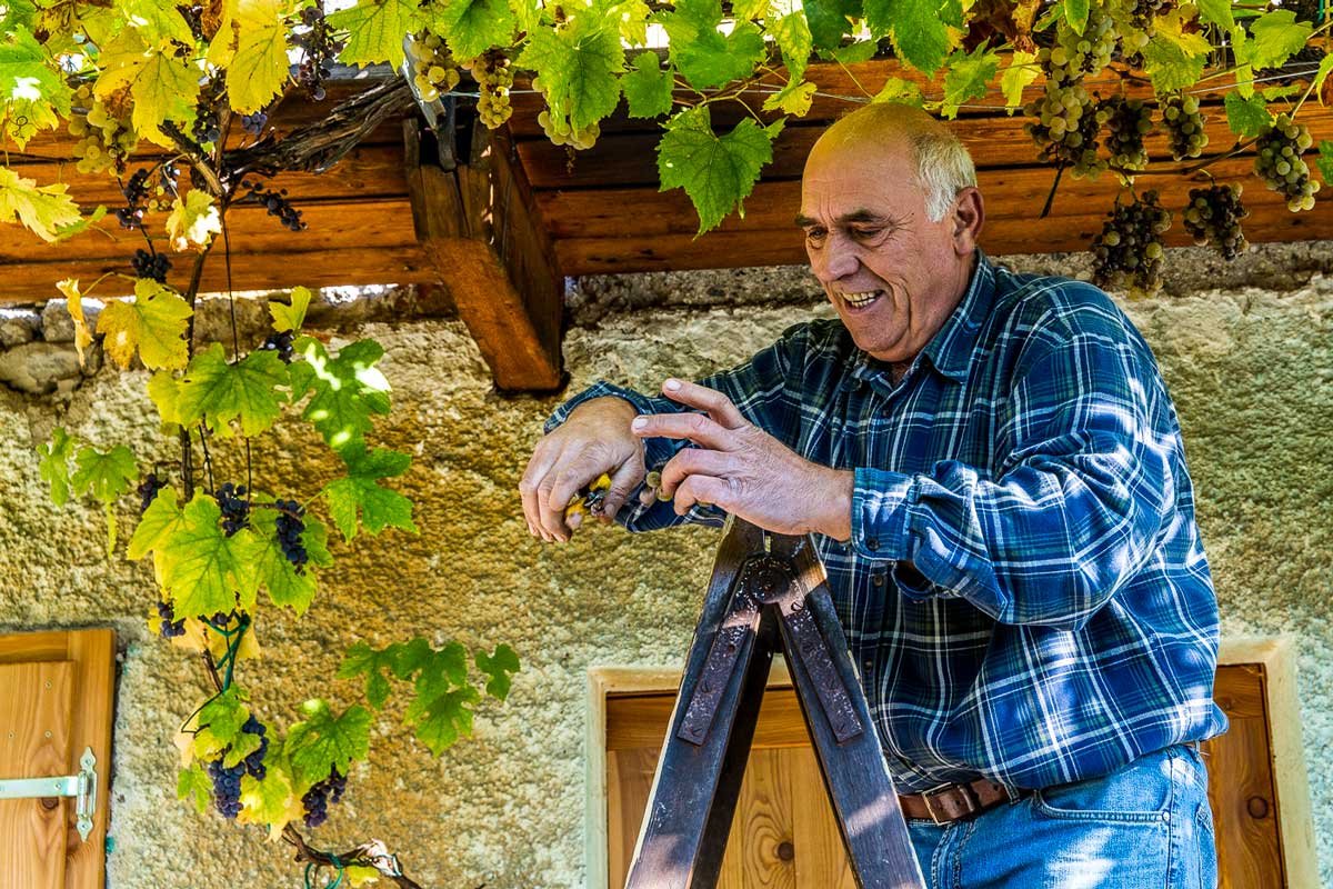 La Castellada winery image 5