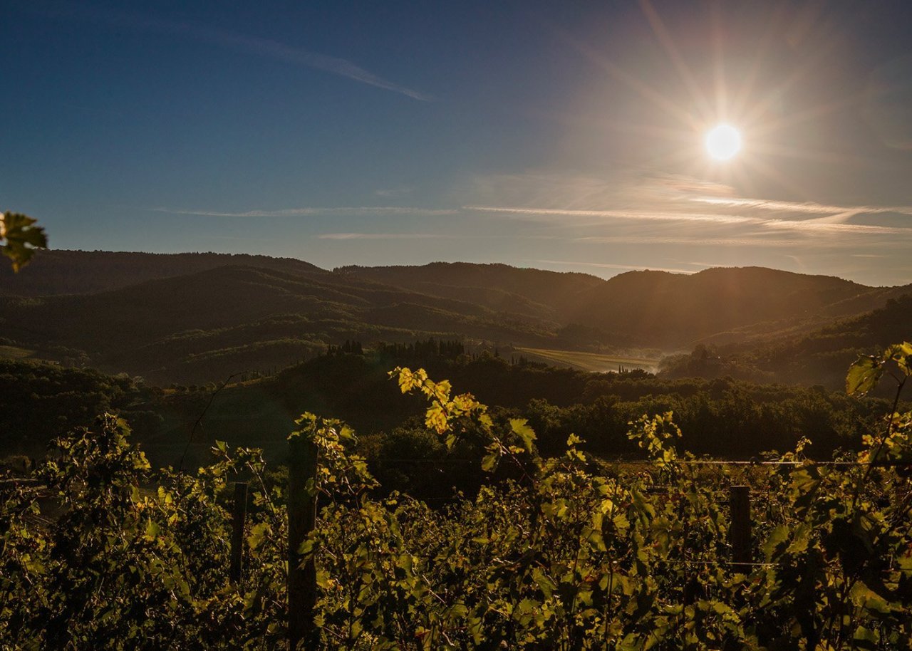 Castello di Radda winery image 1