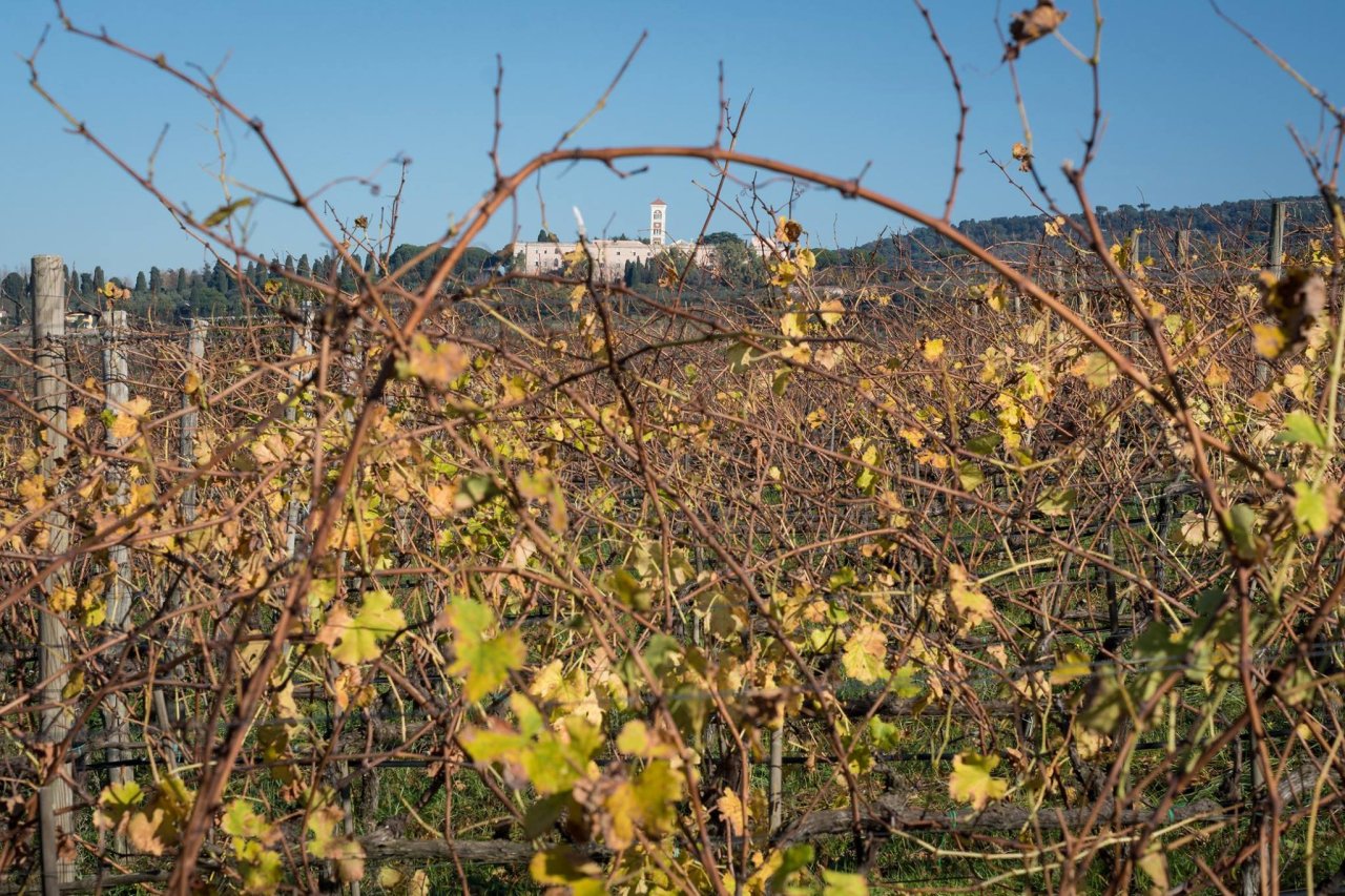 Mix tasting at Azienda Agricola Castel de Paolis