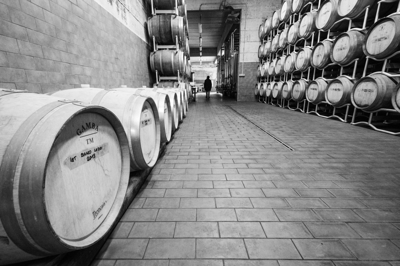 Barrels stacked along the corridor of the Castel de Paolis cellar, in black and white