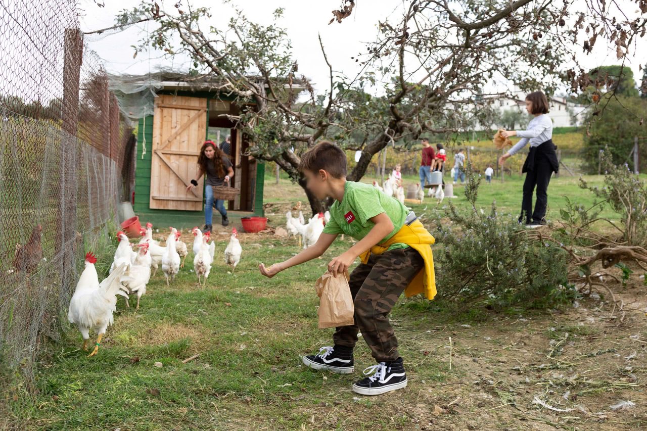 Family farm day with lunch at Fattoria San Michele a Torri