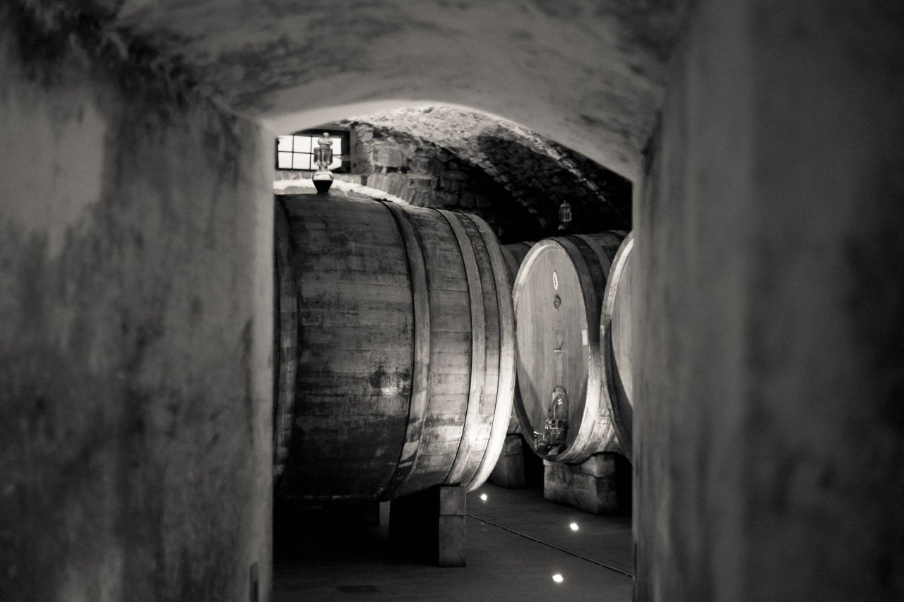 Large old oak casks resting in a vaulted stone cellar