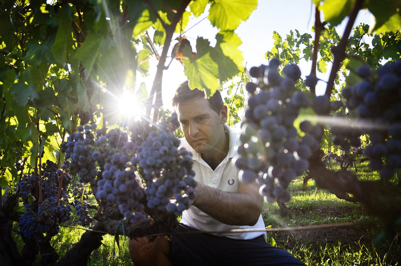 Damiano Ciolli winery image 5