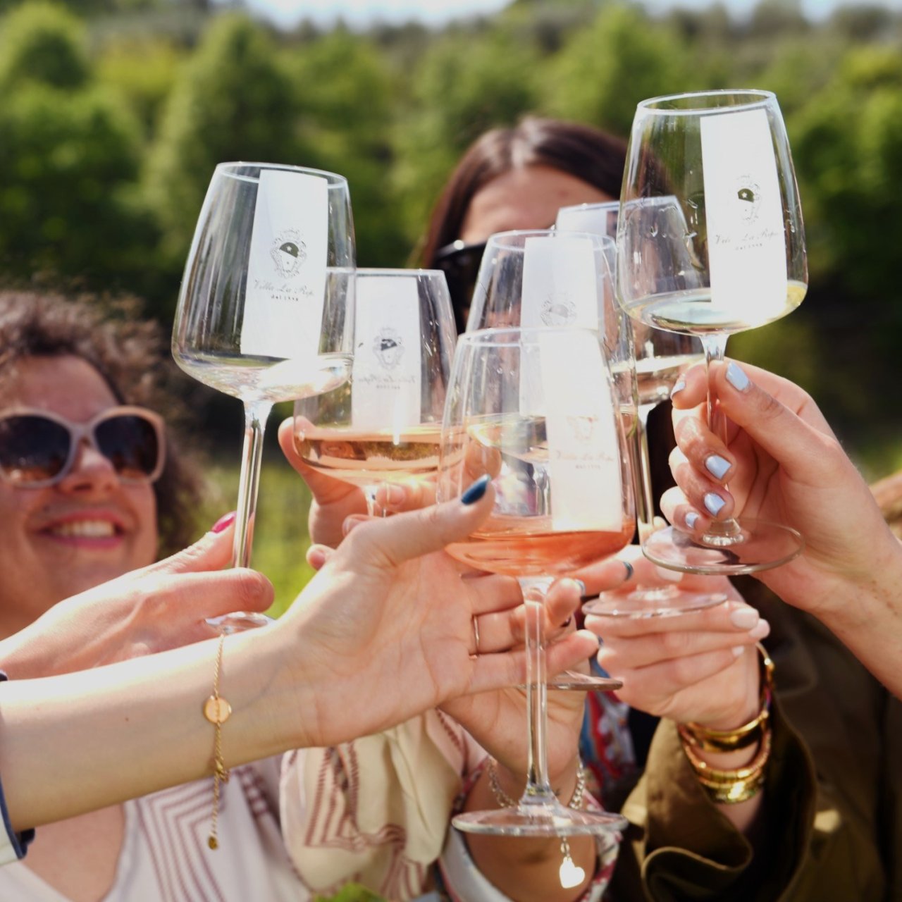 Tour and Sparkling, White and Ros&eacute; Tasting at Villa La Ripa