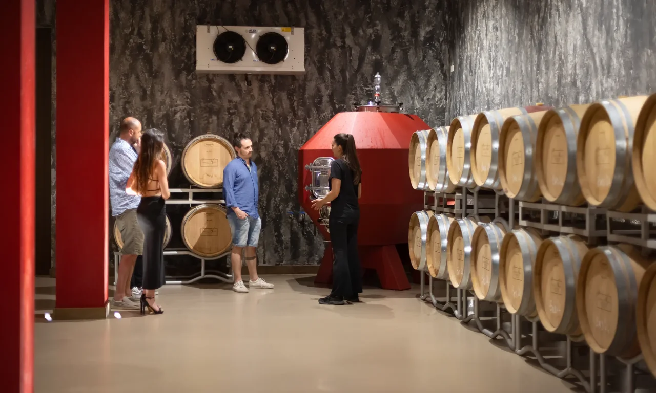 A guide talks to three visitors in the Tenuta Di Vaira barrel cellar, beside racks of oak barrels and a large red vessel.