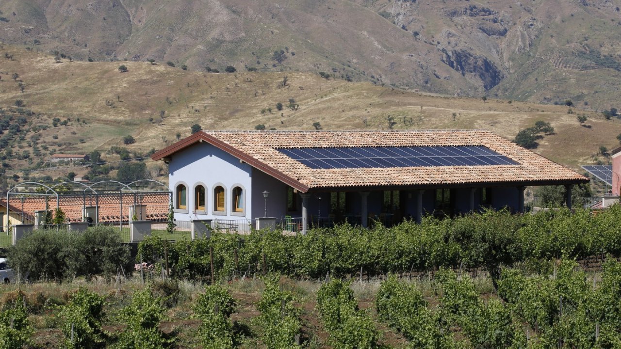 Professional visit (trade and press) at Tenuta delle Terre Nere