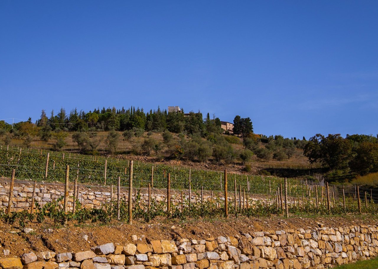 Castello di Radda winery image 3