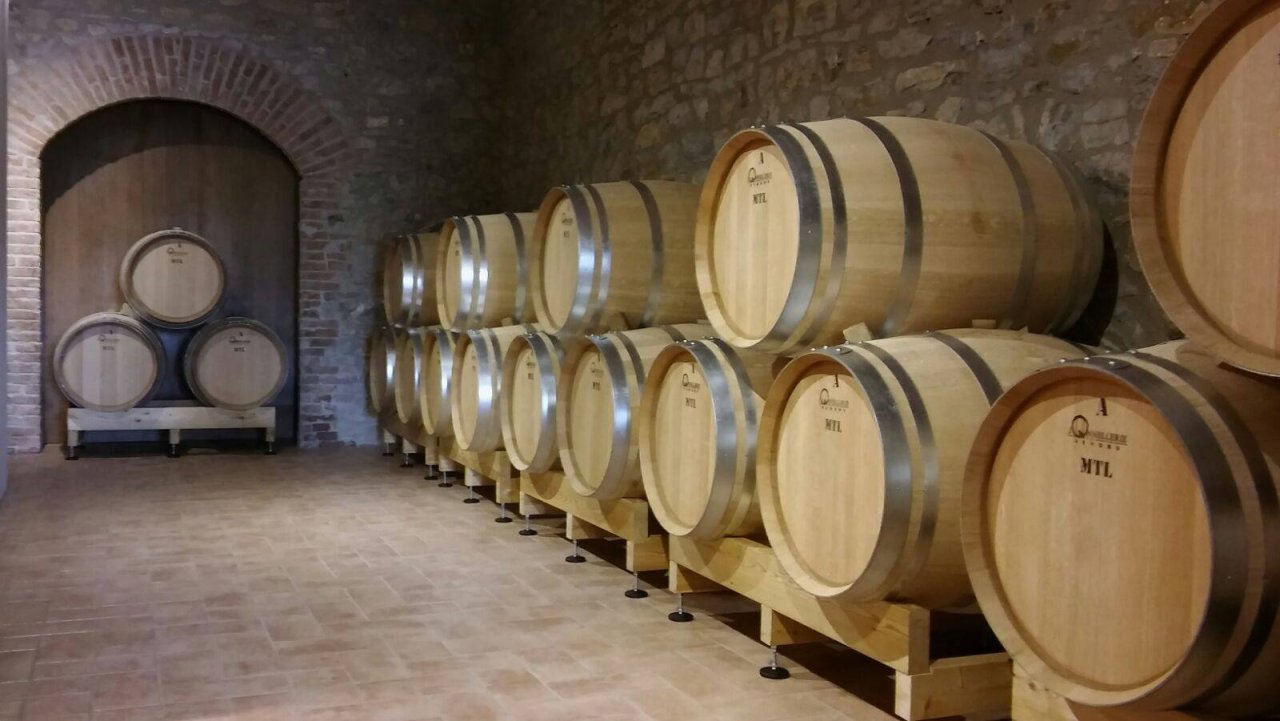 Guided visit of the cellar and vineyards at Azienda Vinicola La Carraia