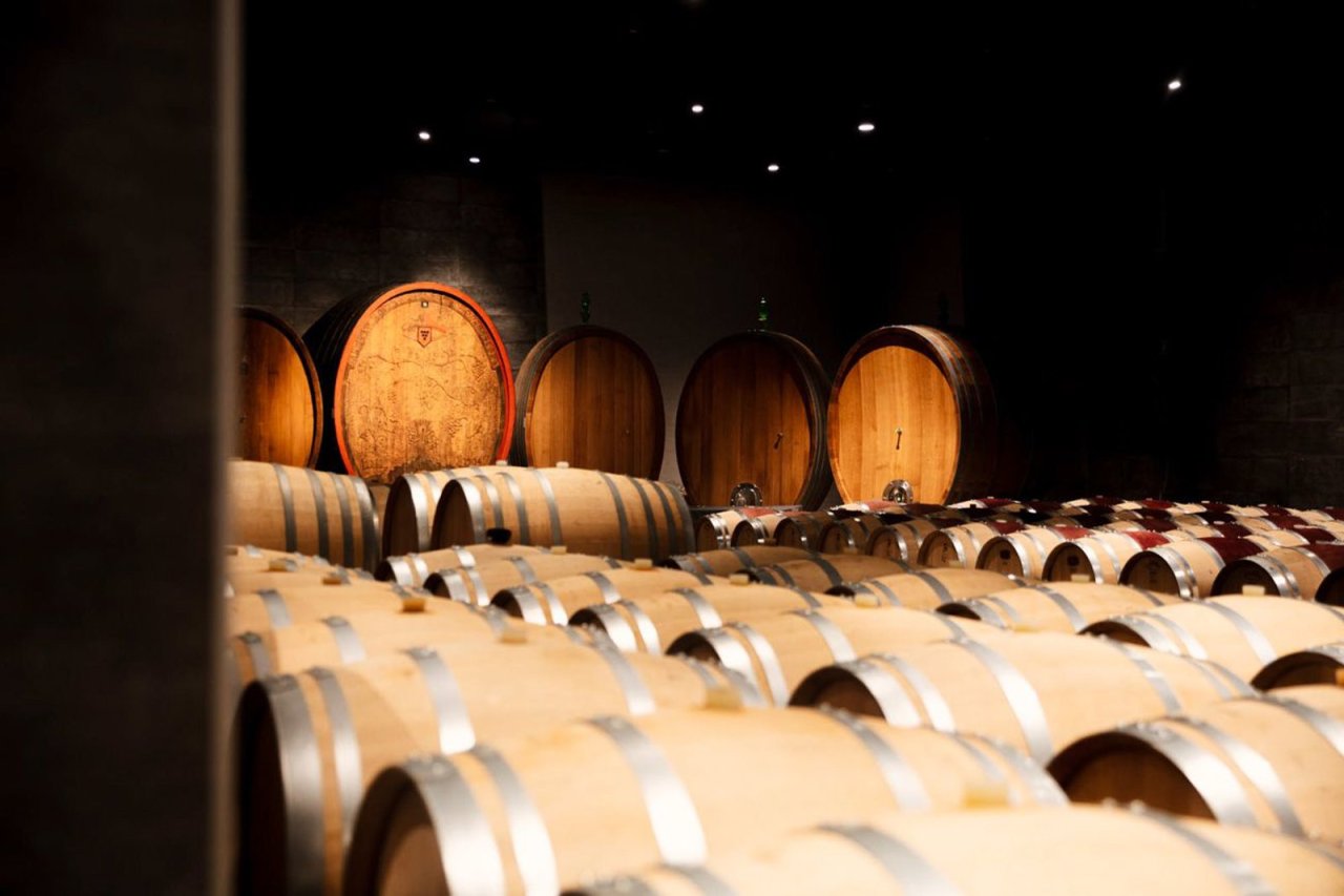 Guided cellar tour at Gruppo Mezzacorona