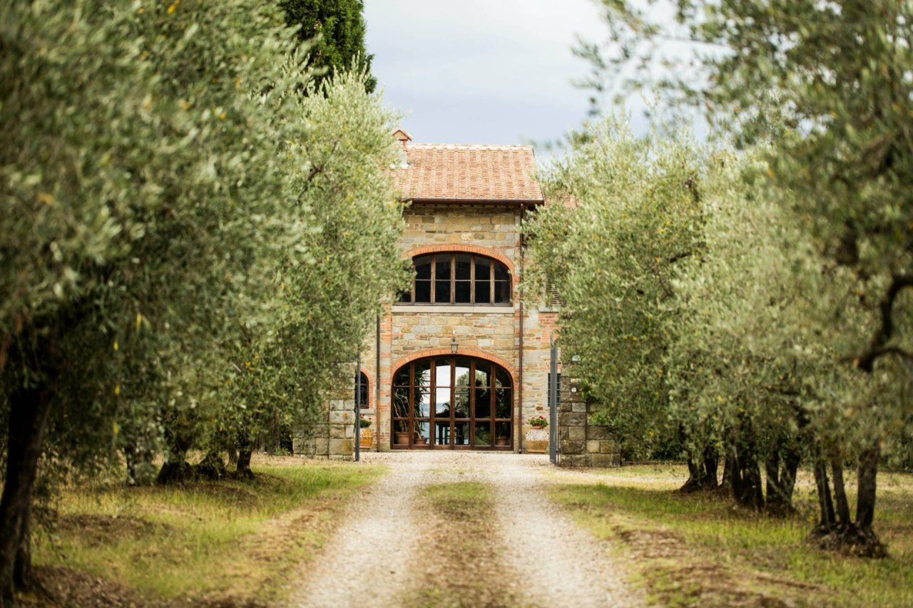 Our Sangiovese at Tenuta Sette Ponti