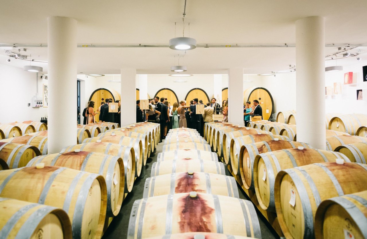 Guided cellar visit and tasting at Roccafiore