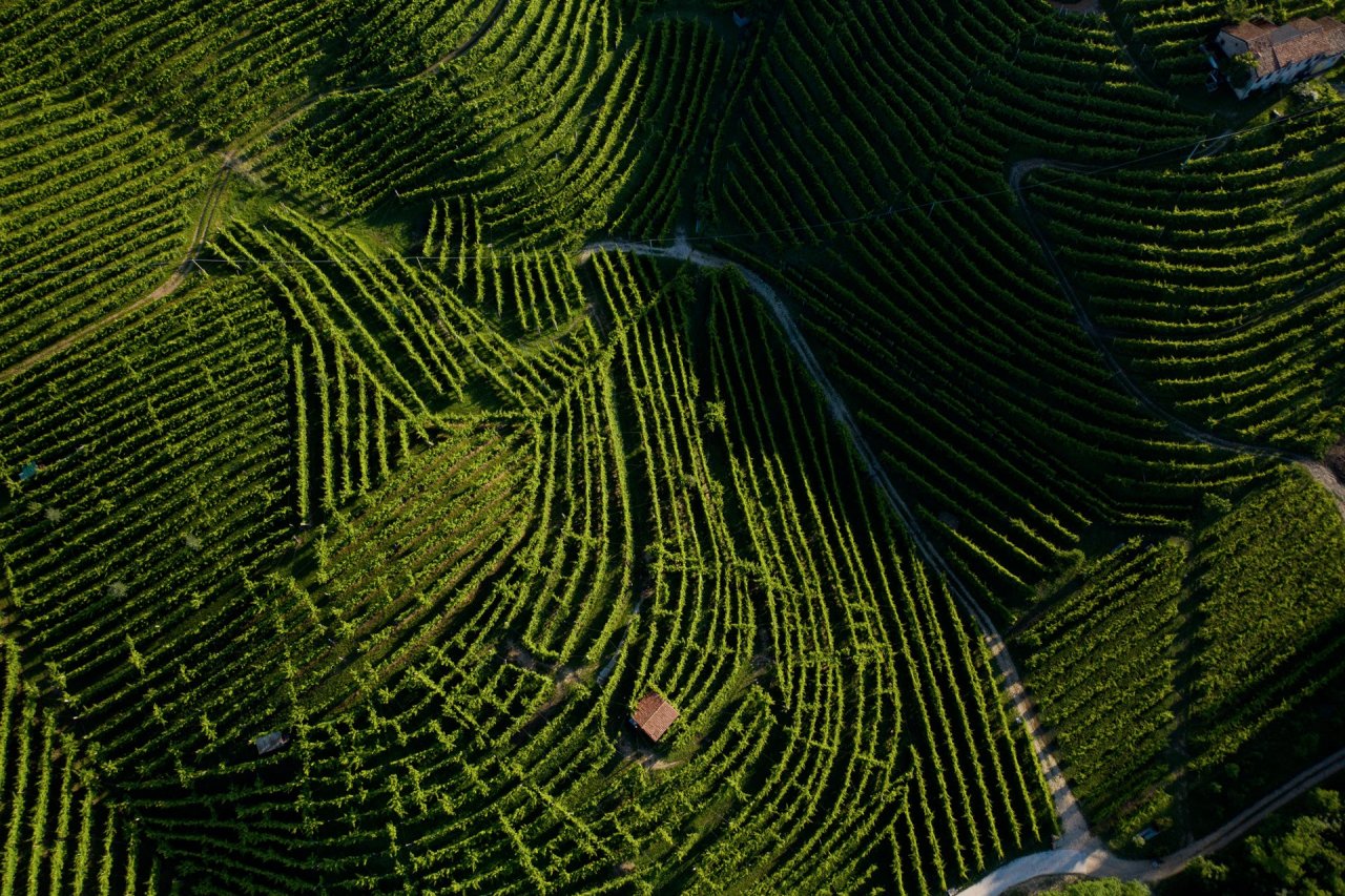 Terraced Glera vineyards on the Conegliano Valdobbiadene hills seen from above
