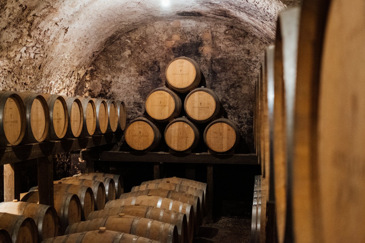 Cellar and vineyard tour with tasting at Alois Lageder