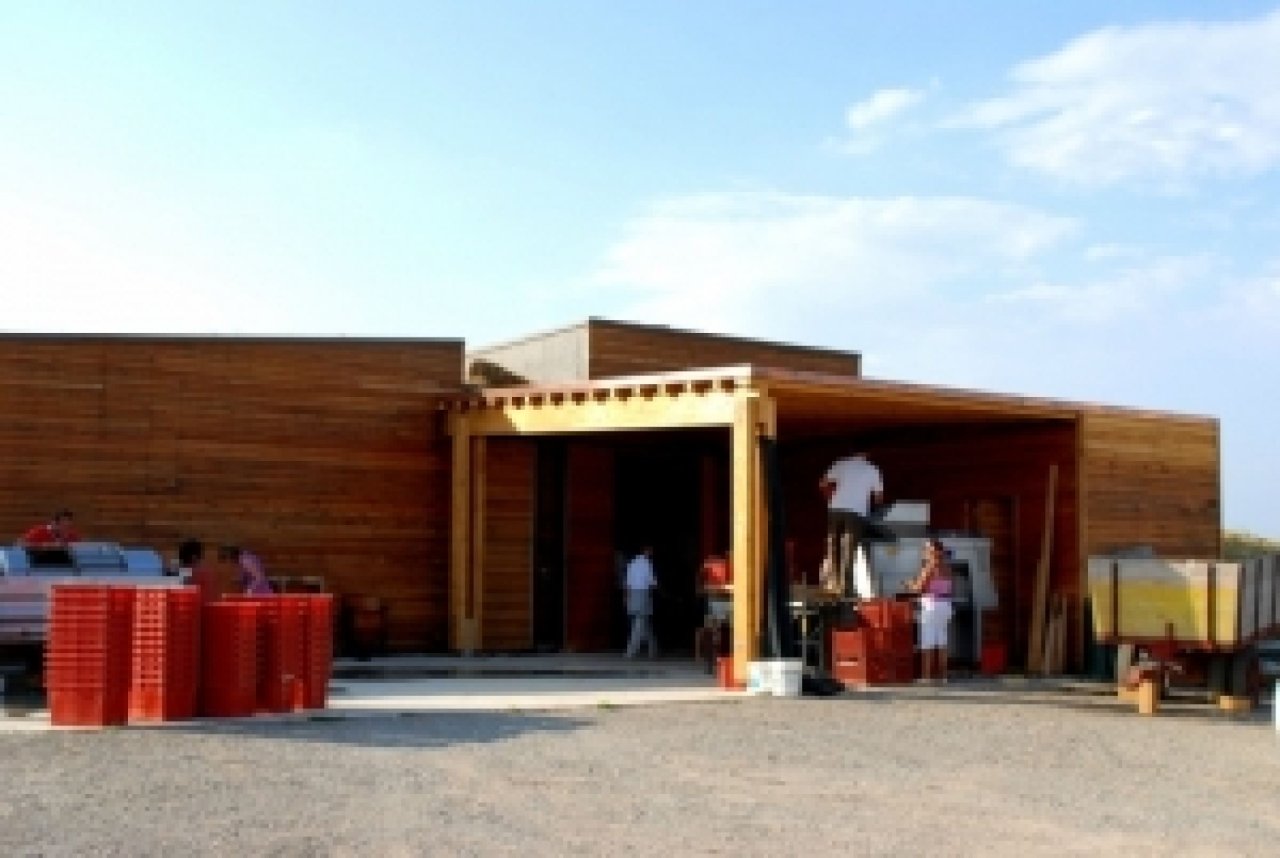 The timber winery building at Poggiobello di Farneta during harvest