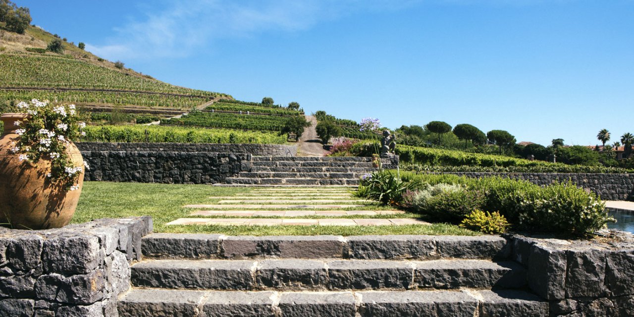 Stone steps leading up to the terraced vineyards at Benanti on Etna