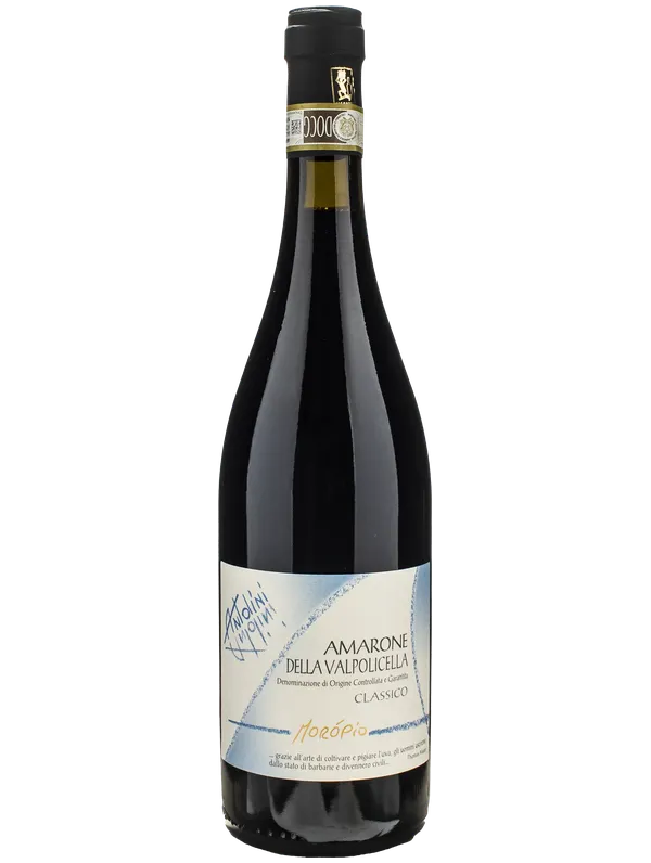 Antolini Amarone della Valpolicella Classico DOCG Moropio Antolini 2021