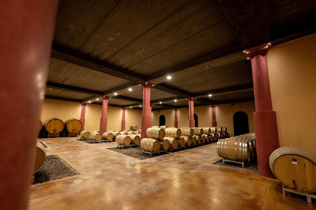 Soave Cellar Tour and Tasting at Azienda Vitivinicola Pieropan Leonildo