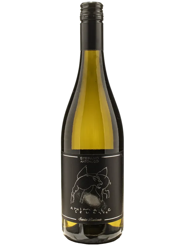 Santa Barbara Animale Celeste Sauvignon Santa Barbara 2025