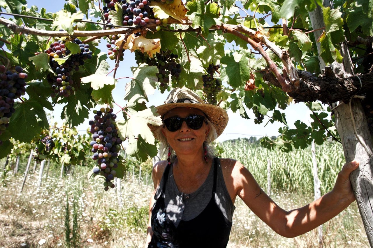 Azienda Agricola Mustilli winery image 4