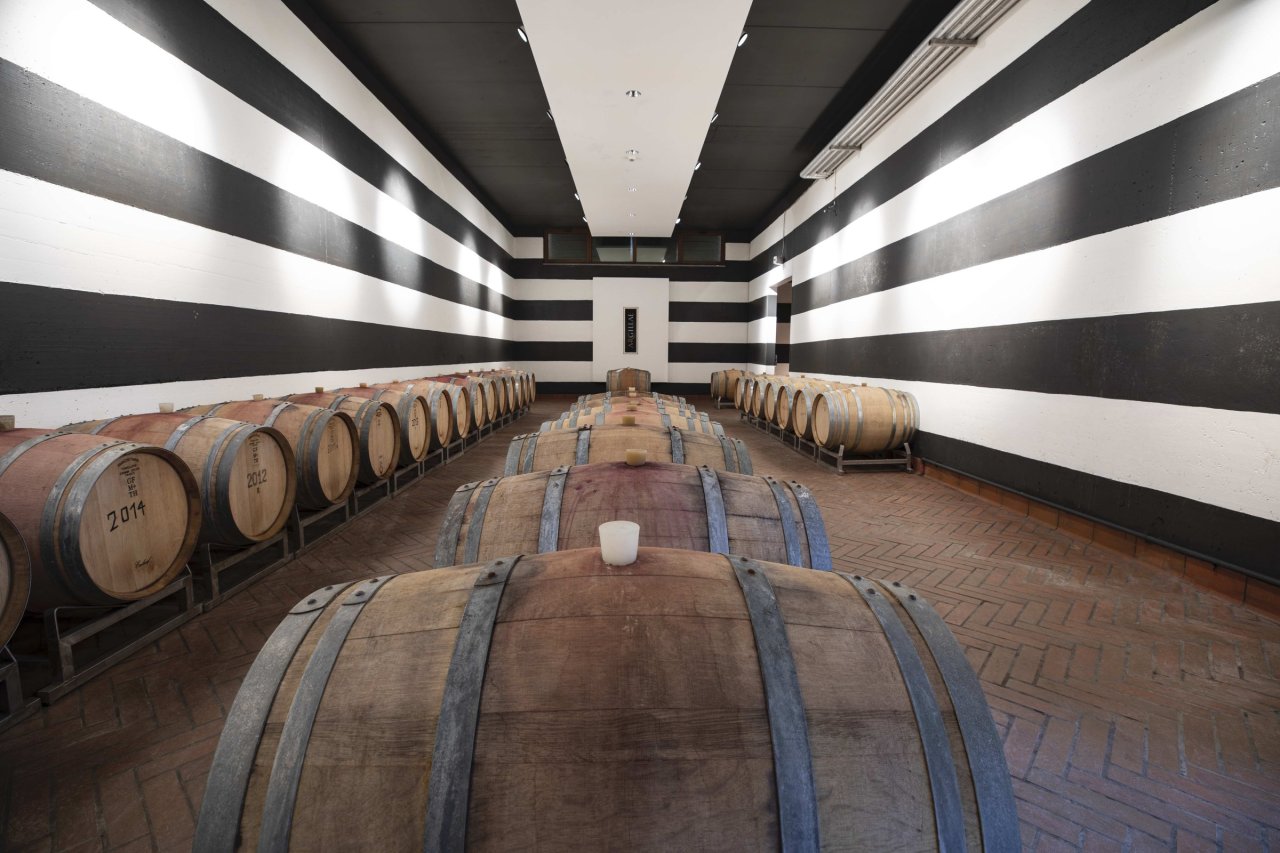 Winery tour and guided tasting at Argillae