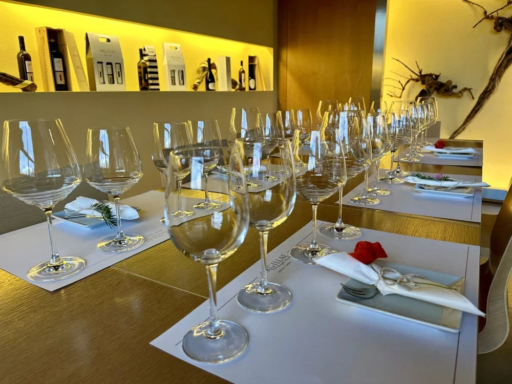 Guided wine tasting at Argillae Winery at Argillae