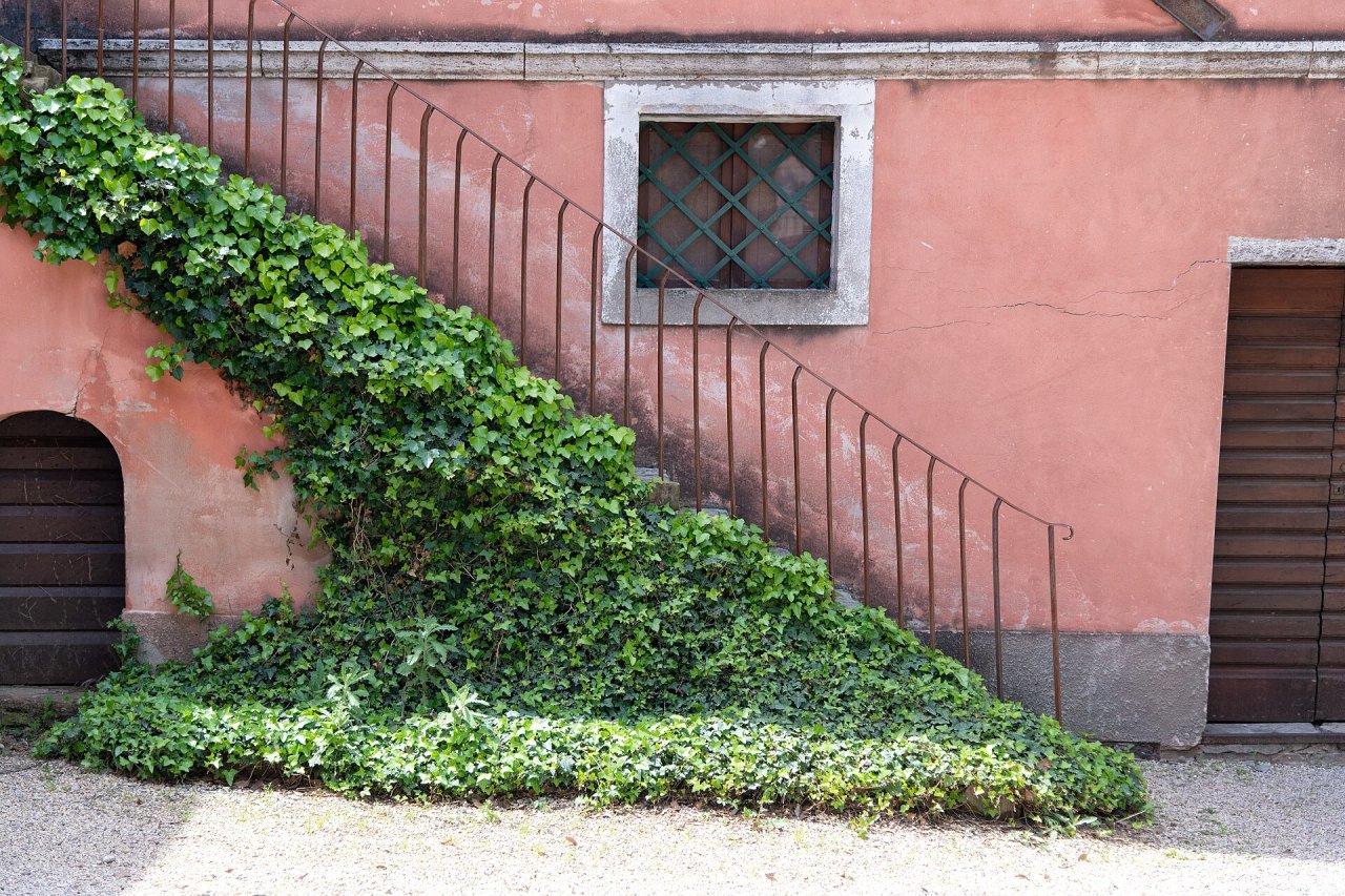 Avignonesi winery image 3