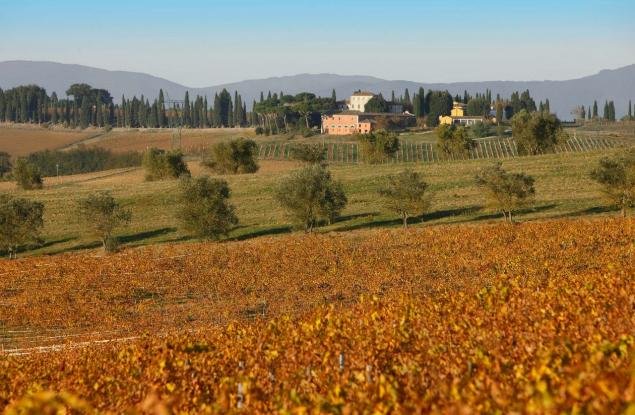 Avignonesi winery image 1