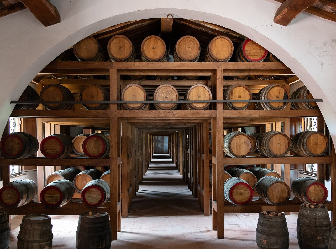 Avignonesi winery image 4