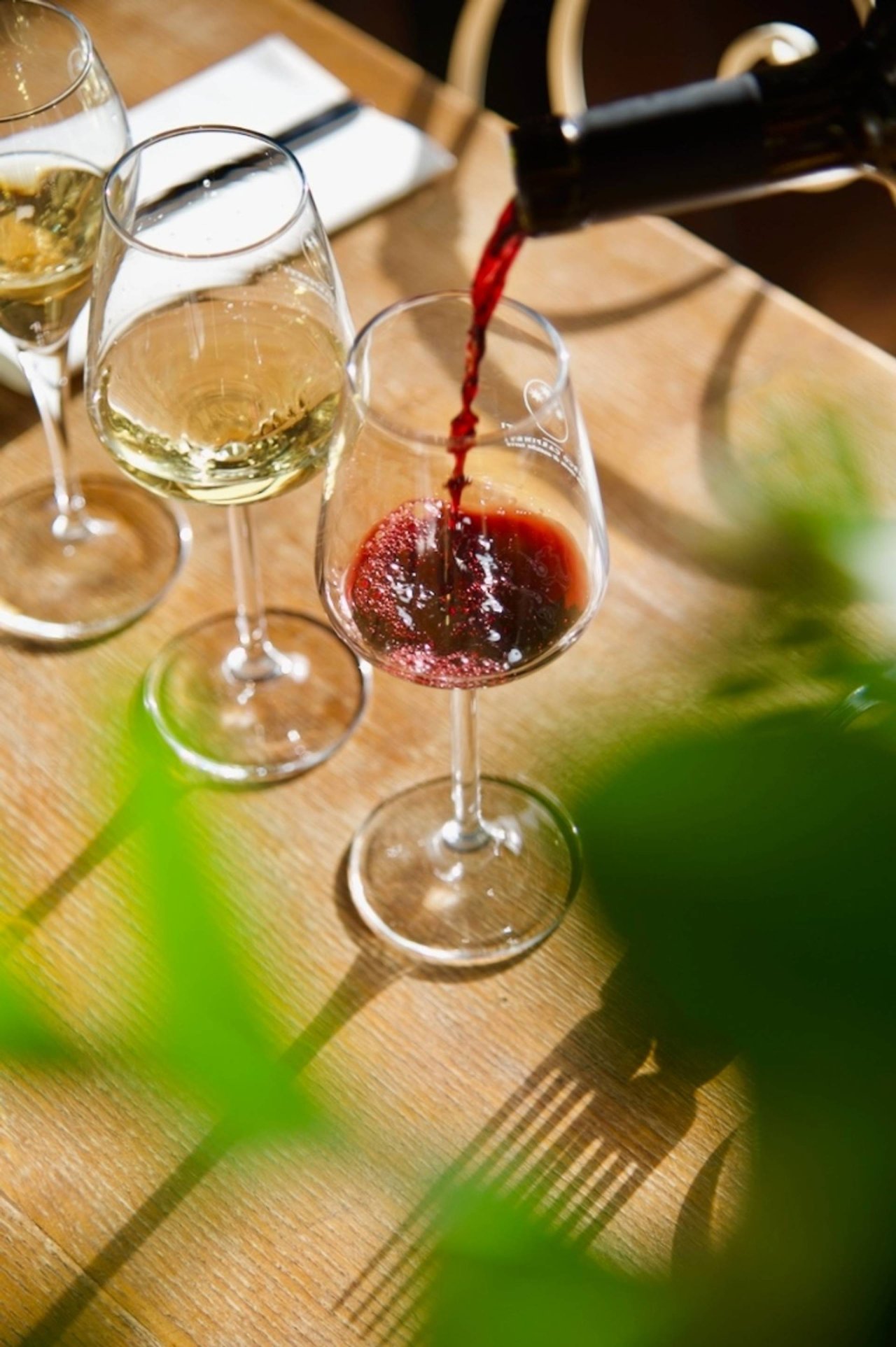 4 labels - The dynamic Wine Tasting at Azienda Agricola Carpineti Marco