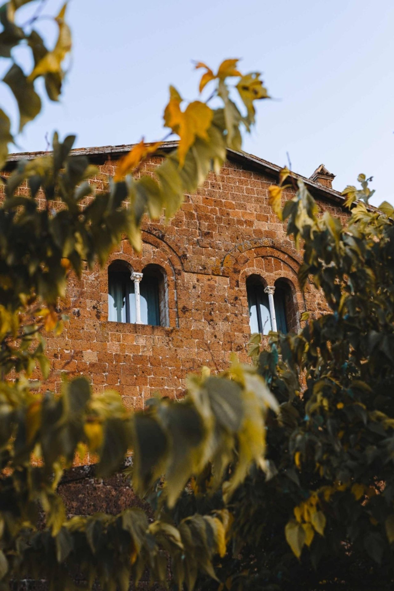 Pilgrim Tour at Azienda Agricola Palazzone