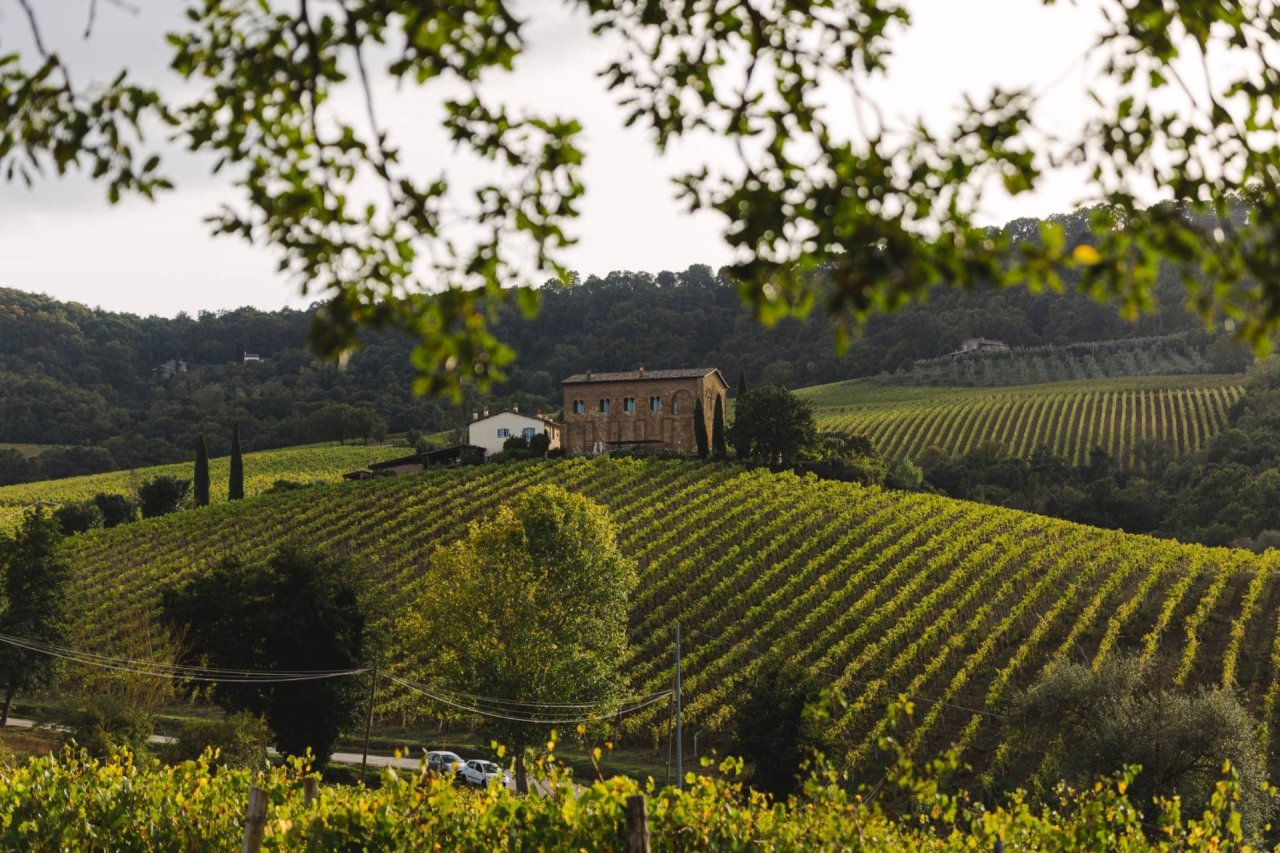 Cardinal's Tour - With lunch at Azienda Agricola Palazzone