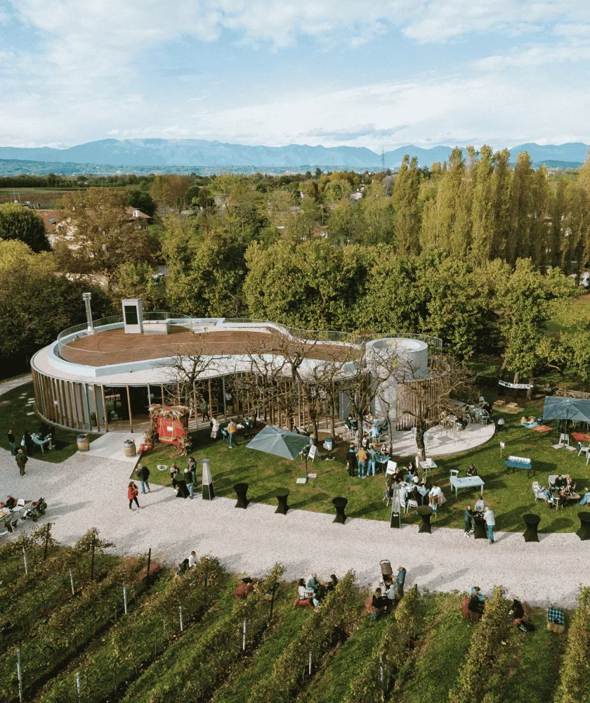 BIO TOUR TRADIZIONE EXPERIENCE with organic wines at Pizzolato Winery at Azienda Agricola Pizzolato