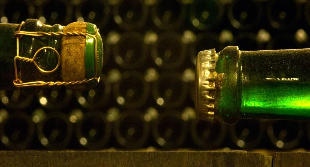 Guided tour and Double Tasting at Ricci Curbastro winery at Azienda Agricola Ricci Curbastro