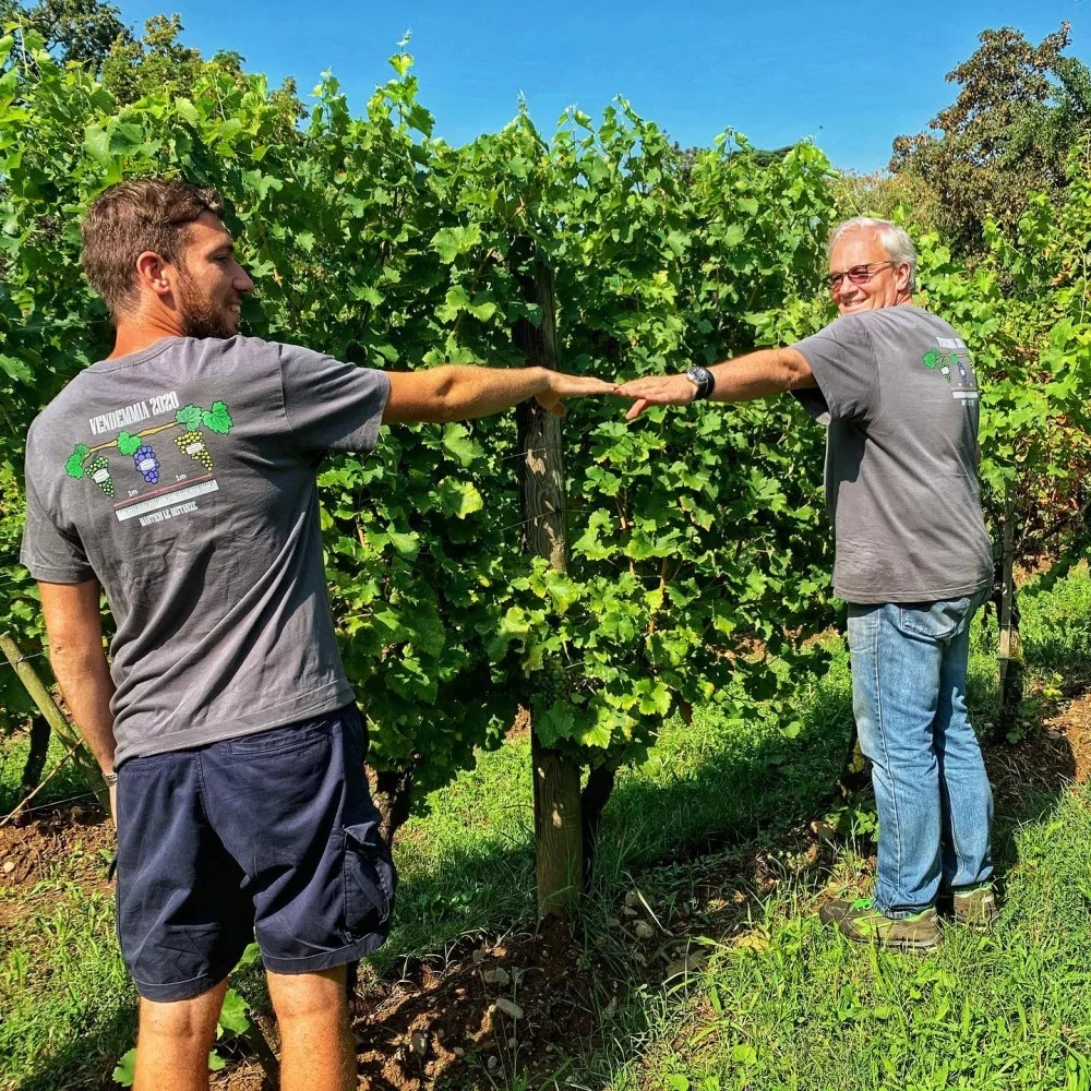 Guided tour and Triple Tasting at Ricci Curbastro winery at Azienda Agricola Ricci Curbastro