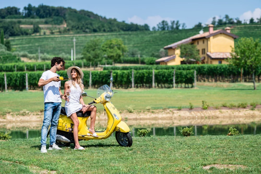 Wine Tasting and Visit at the historic Mario Schiopetto winery in Collio at Azienda Agricola Schiopetto