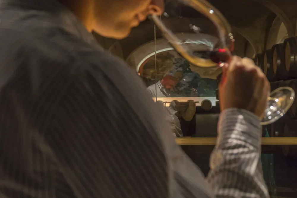 Tua Rita Barrique Experience: Wine tasting in Suvereto at Azienda Agricola Tua Rita