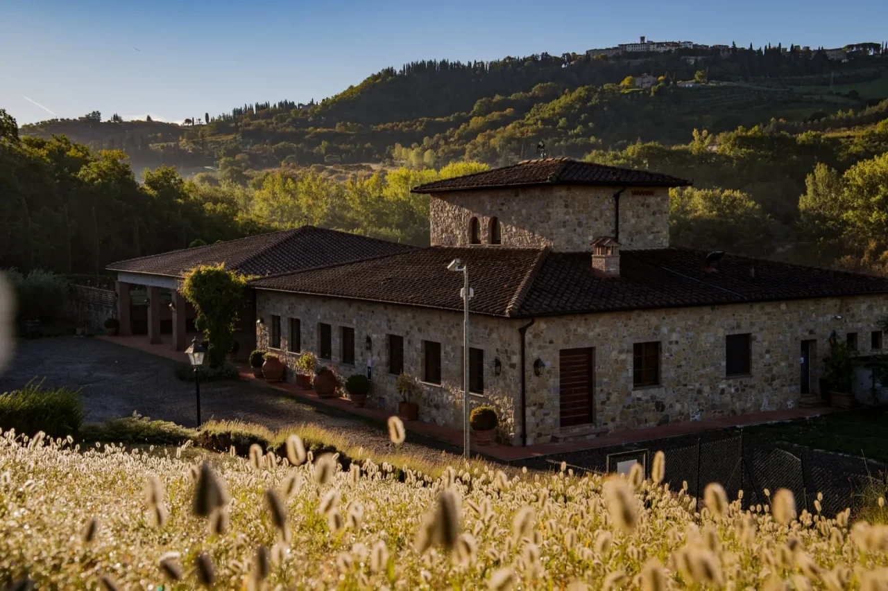 Chianti Classico Experience: 3 wines and 1 Vermouth at Castello di Radda