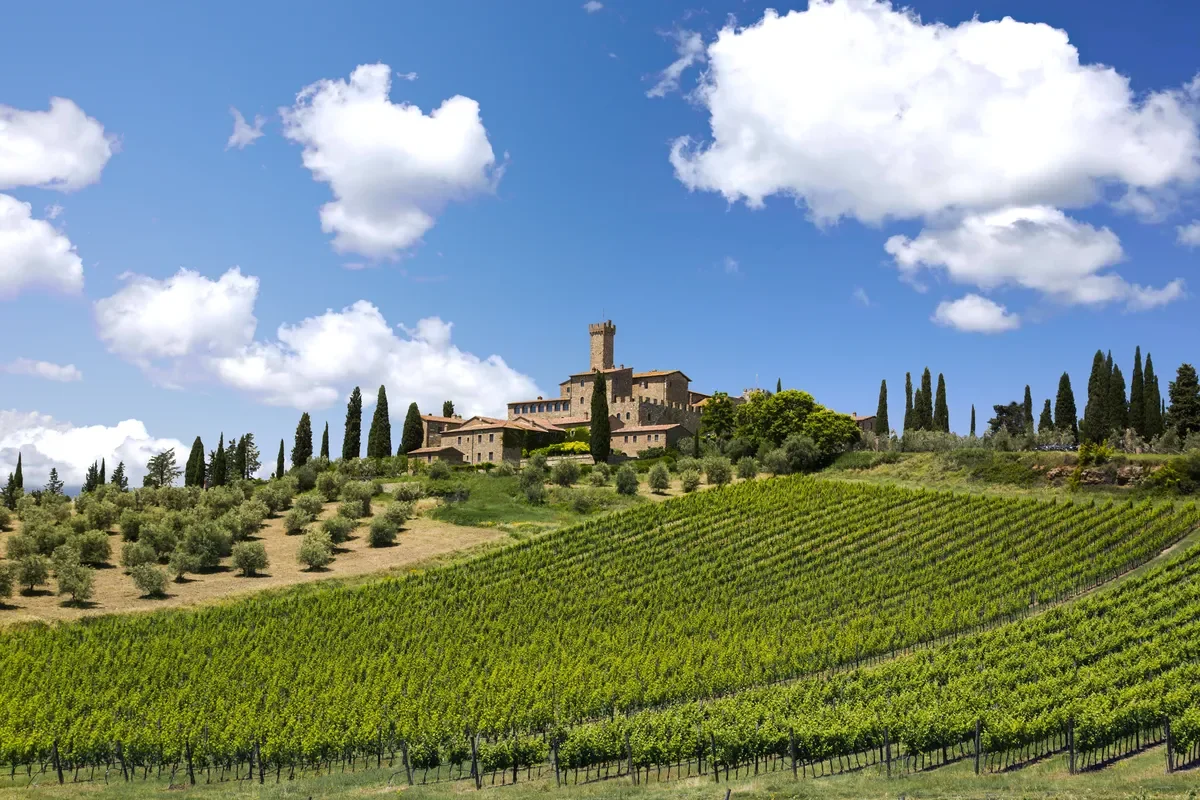 Castello Banfi winery image 2