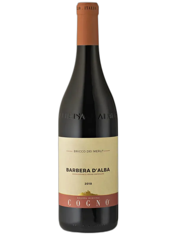 Elvio Cogno Barbera d'Alba DOC Bricco dei Merli Elvio Cogno 2022