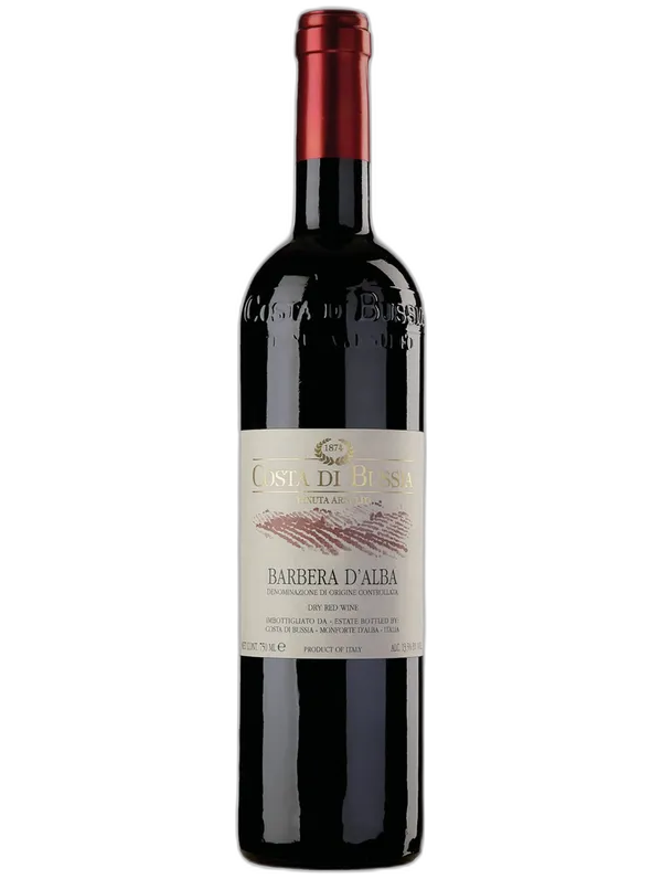 Costa di Bussia Barbera d'Alba DOC Costa di Bussia 2023