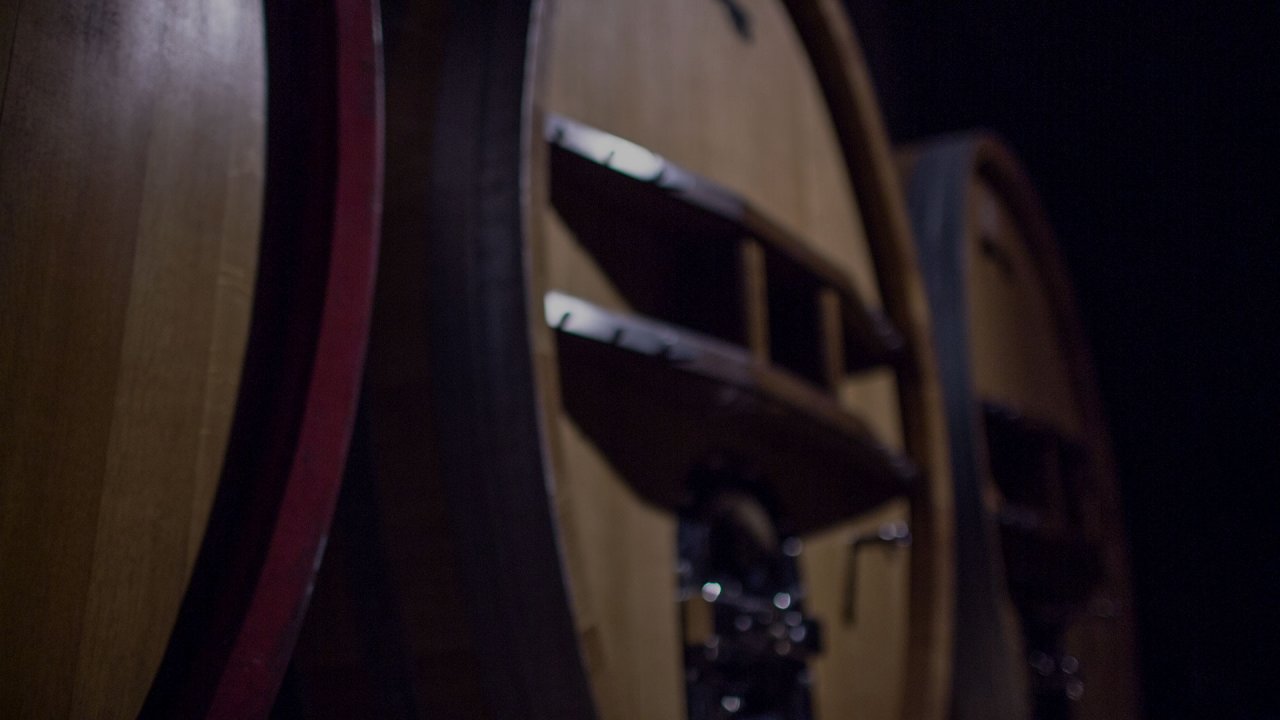 Oak barrels in the Barberani cellar
