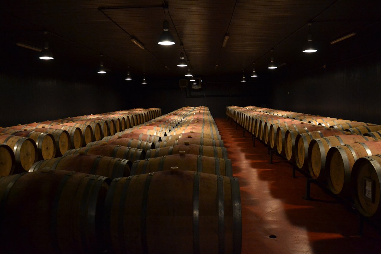 Cellar tour and tasting at the Torgiano estate at Lungarotti