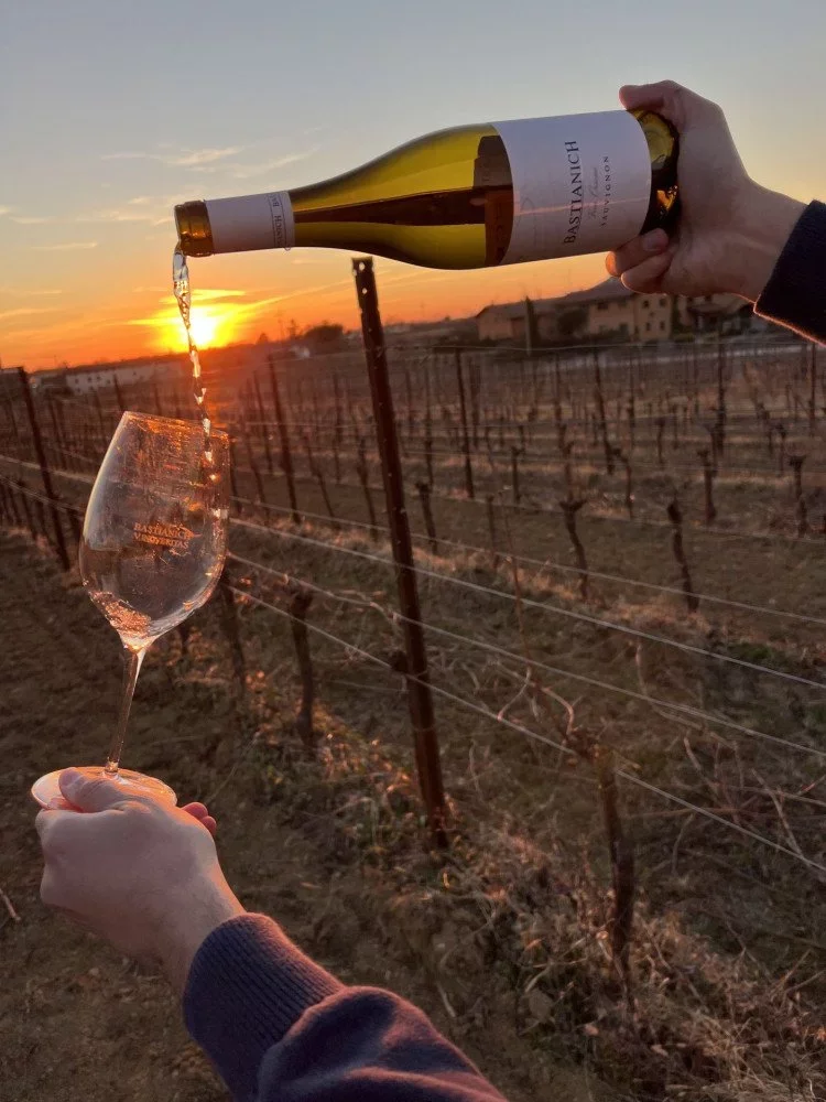 Bastianich winery image 2