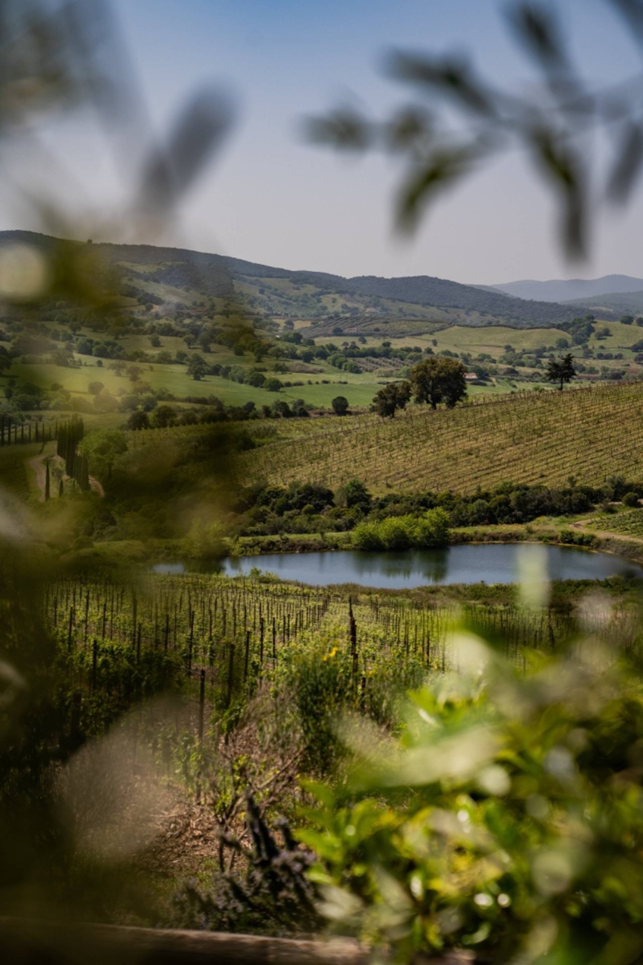 Belguardo Wine Tour at Belguardo