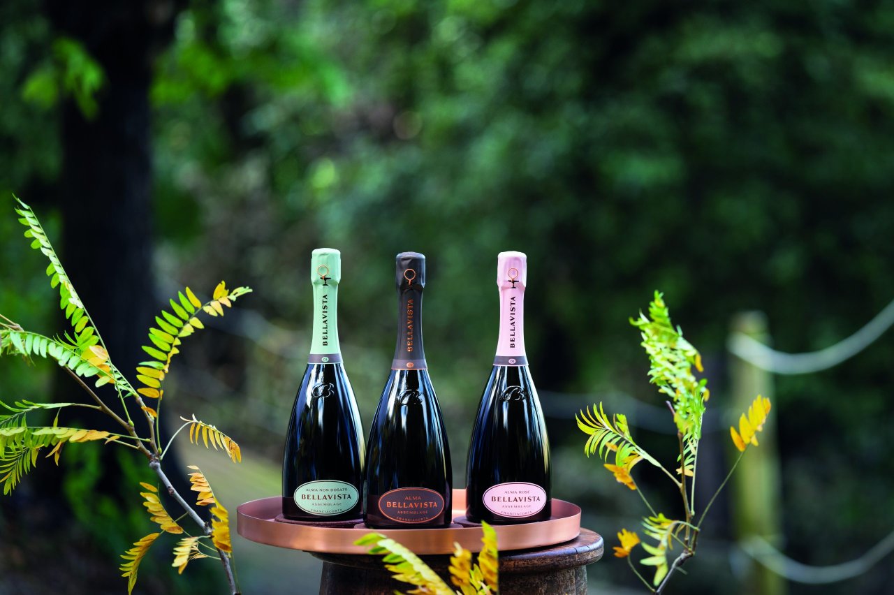 Azienda Agricola Bellavista winery image 3