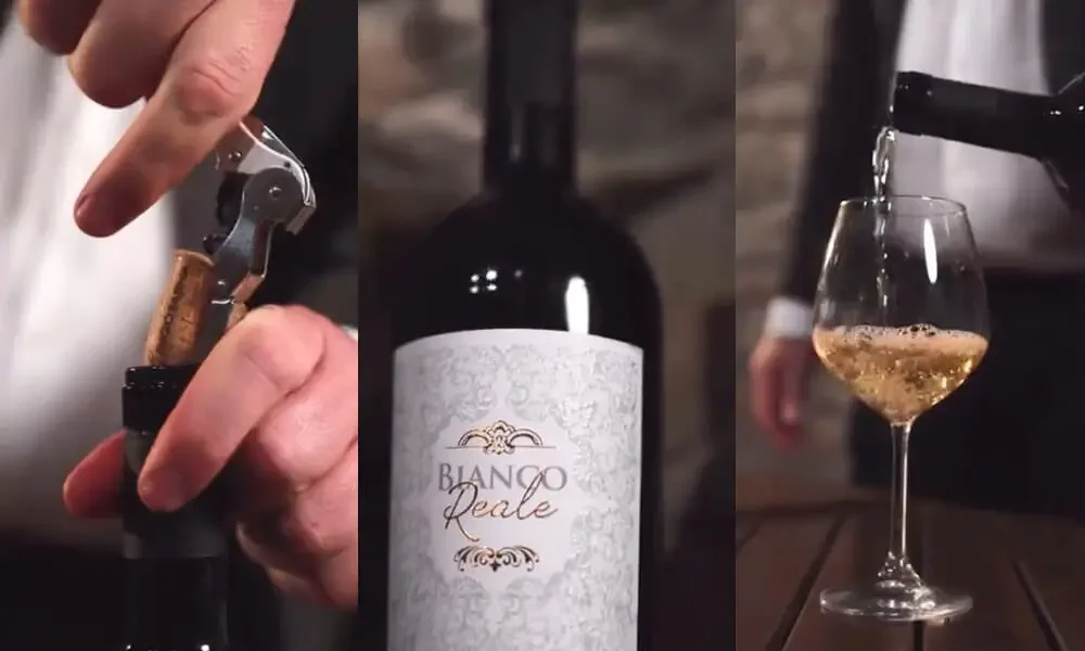 Lungoparma winery image 5