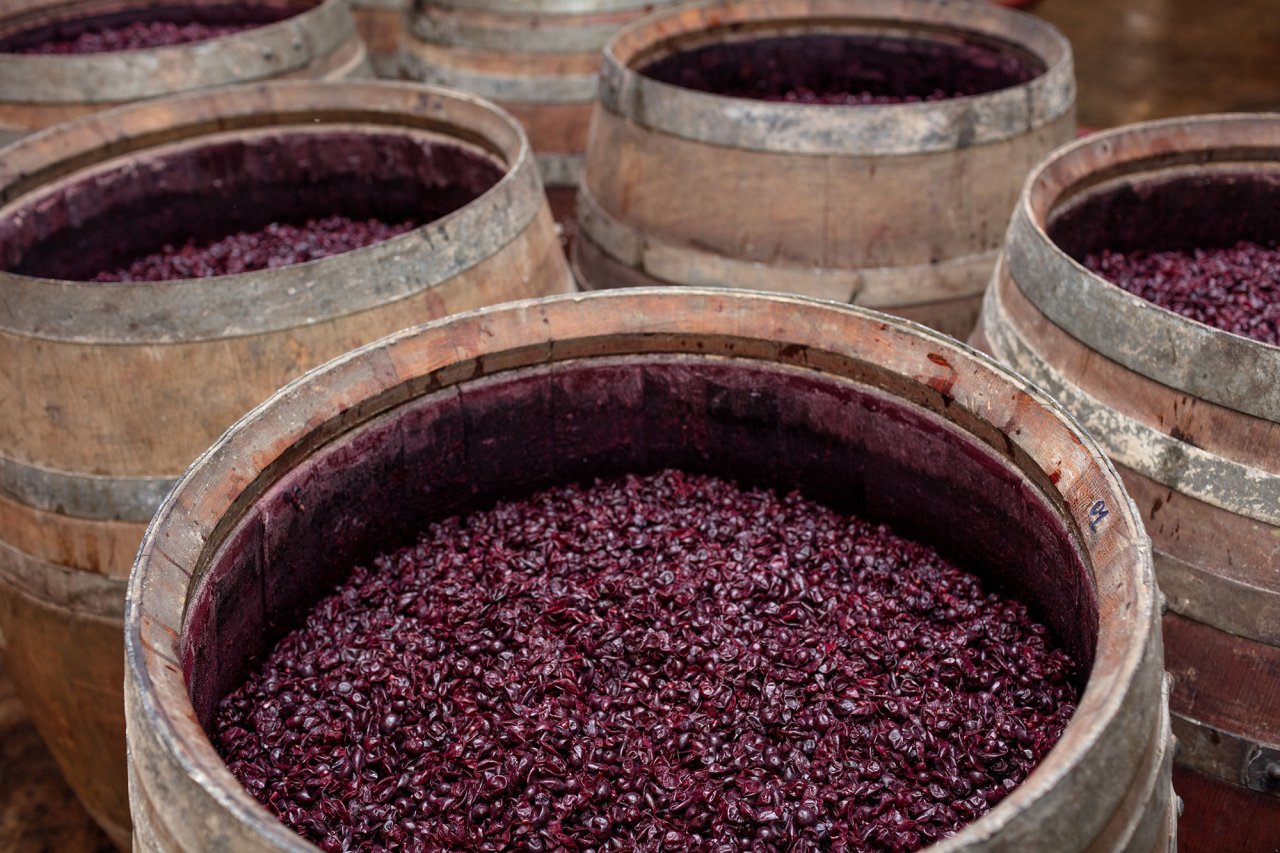 Bibi Graetz winery image 3