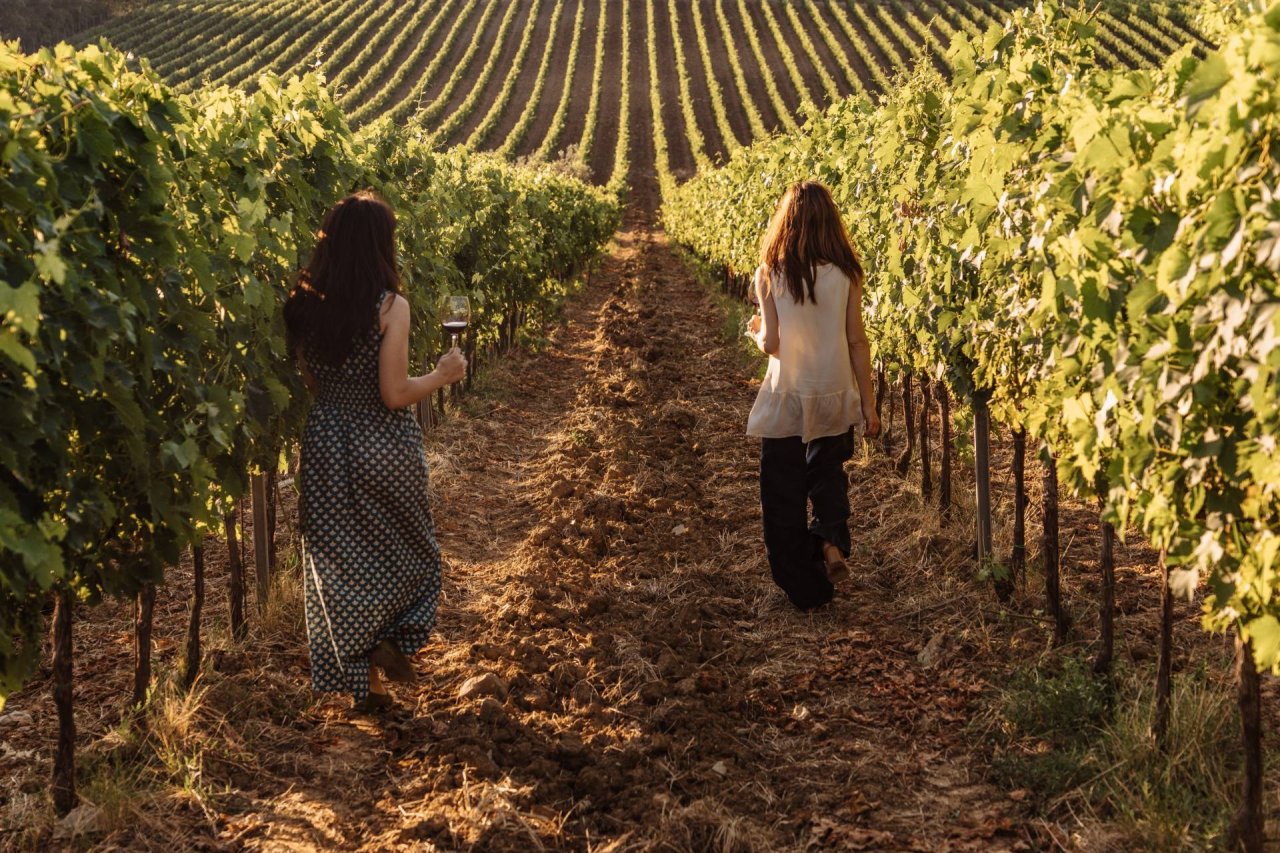 Picnic in the Vineyard at Bindi Sergardi