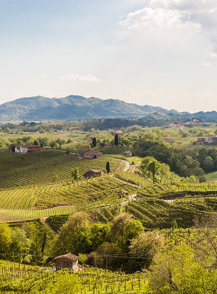The Prosecco Superiore hills around Bisol under a cloudy sky, with the Prealps behind