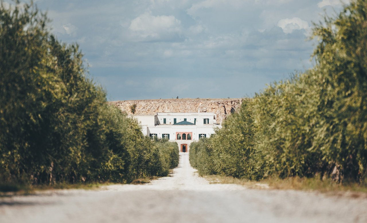 Tormaresca winery image 2